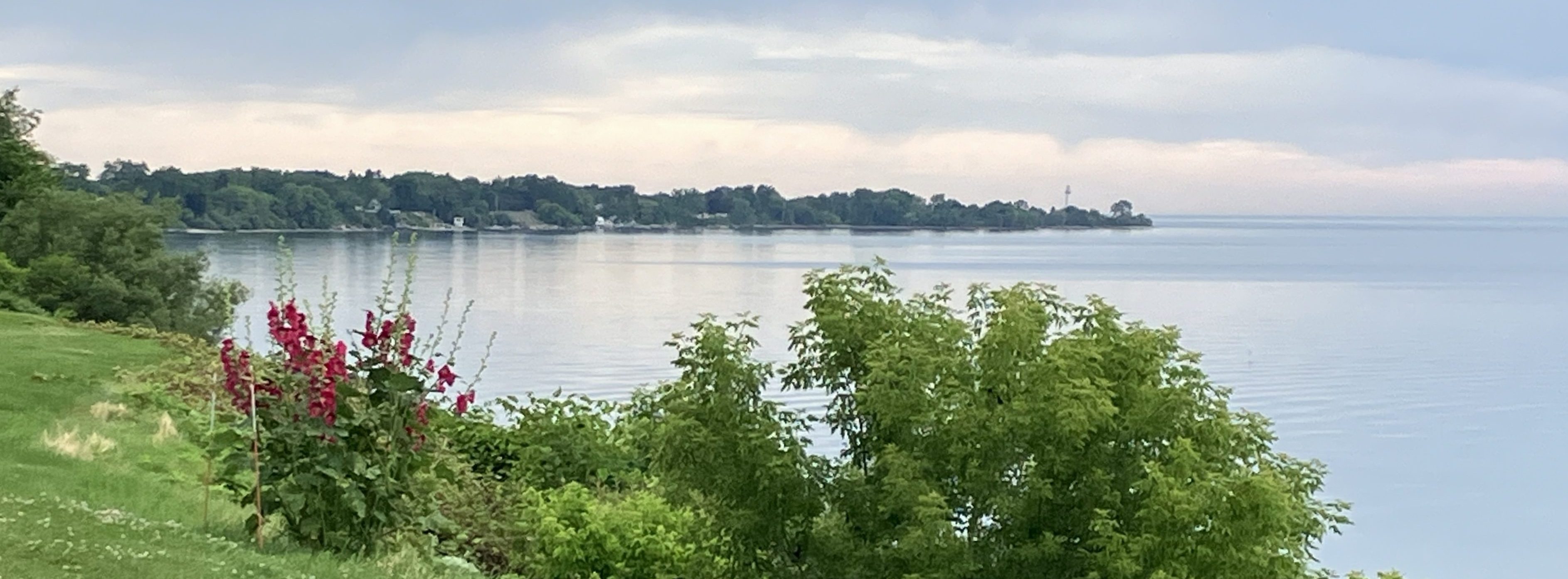 A view of a lake bluff on Lake Michigan, with water, grass, and other plants